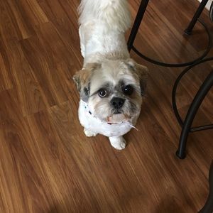 Meet your Posher, Robin